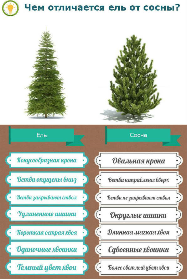 Кожаный чехол для телефона своими руками Сделай Сам на Как открыть массажный салон: разрешительная документация и