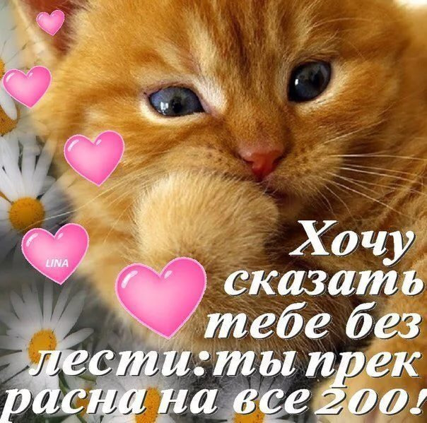 Открытки ты классная подруга 688