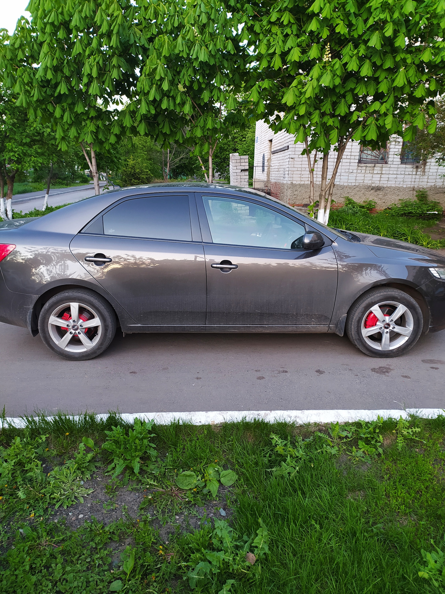 Cerato клиренс. Cerato клиренс. Cerato клиренс. Cerato клиренс. Cerato клиренс.