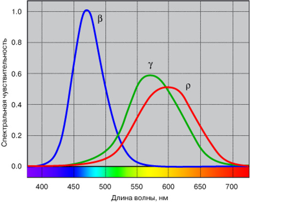 Спектральная зависимость. Спектральная чувствительность колбочек. График относительной спектральной чувствительности глаза. Спектр чувствительности колбочек глаза. Чувствительность колбочек спектр.