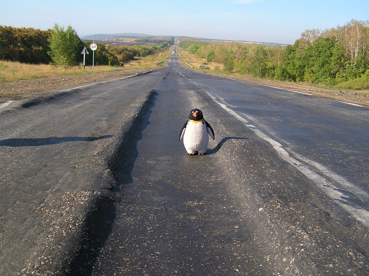 Фото колеи на дороге