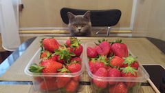 В машине пахнет йодом. Смотреть фото В машине пахнет йодом. Смотреть картинку В машине пахнет йодом. Картинка про В машине пахнет йодом. Фото В машине пахнет йодом В машине пахнет йодом. Смотреть фото В машине пахнет йодом. Смотреть картинку В машине пахнет йодом. Картинка про В машине пахнет йодом. Фото В машине пахнет йодом