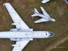 как называются вертушки в поле. Смотреть фото как называются вертушки в поле. Смотреть картинку как называются вертушки в поле. Картинка про как называются вертушки в поле. Фото как называются вертушки в поле