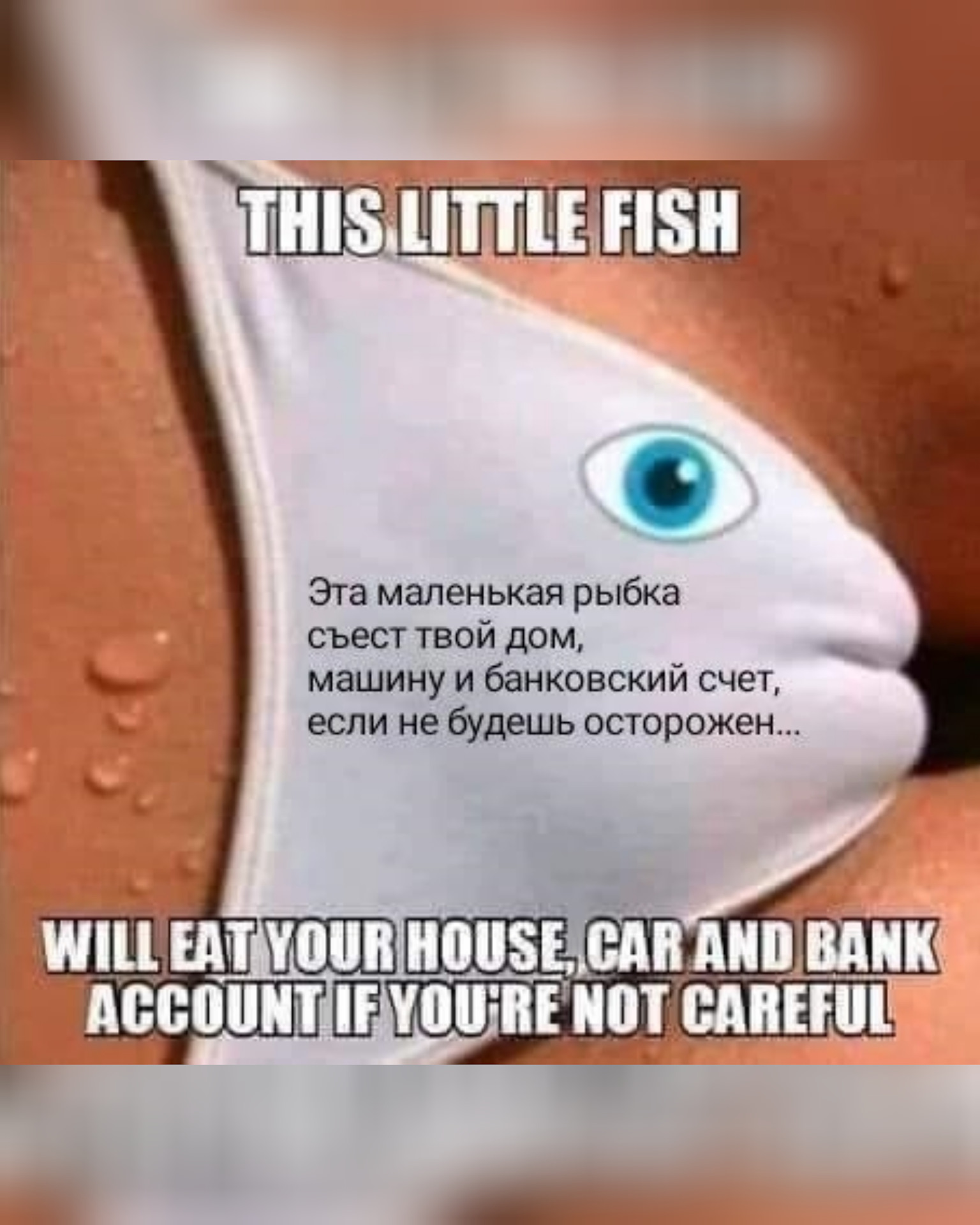 Рыбка Мем