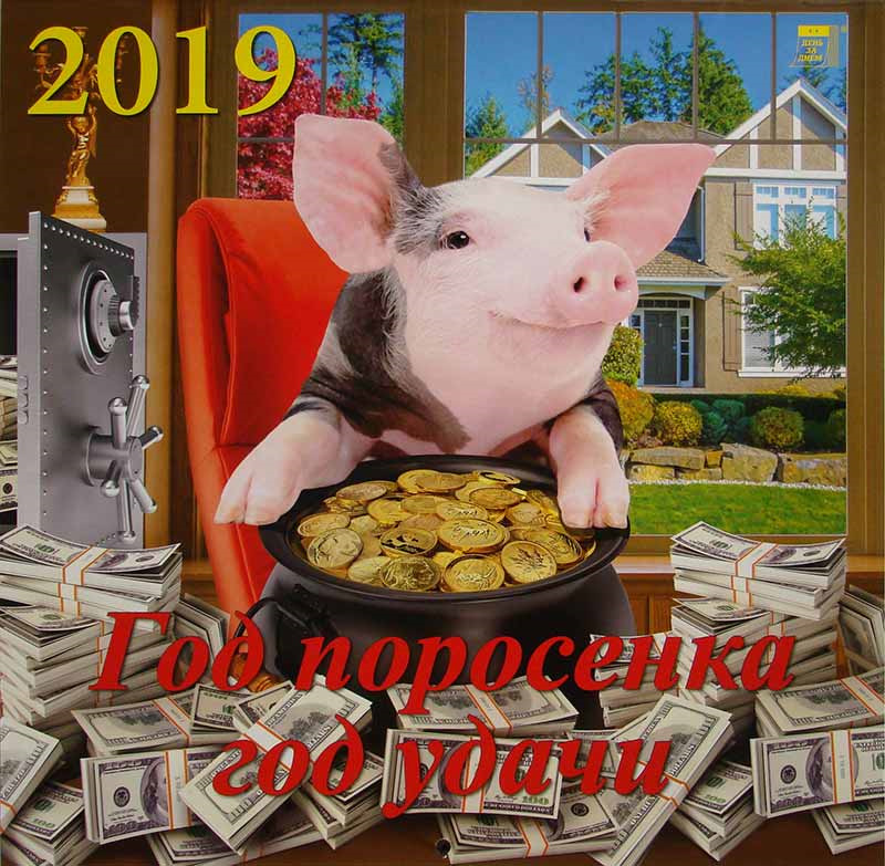 Мужчина год свиньи. Год свиньи 2019. Поросенок праздник. Свинья 2021. В 2019 году год зверя.