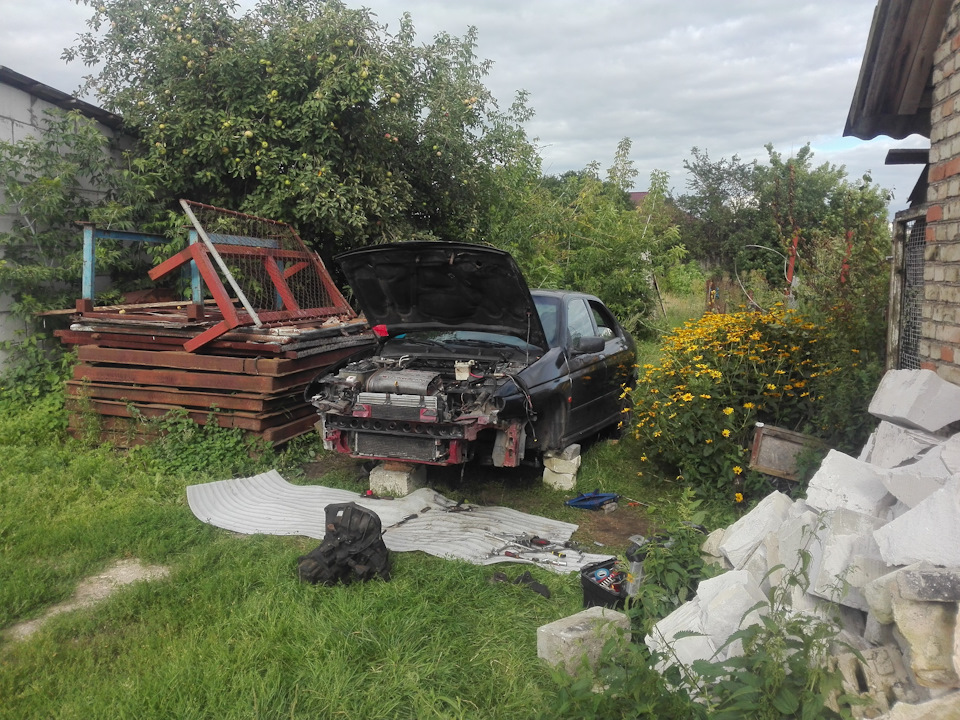 С волками жить-по волчьи выть! — Alfa Romeo 146, 1,6 л, 1996 года ...