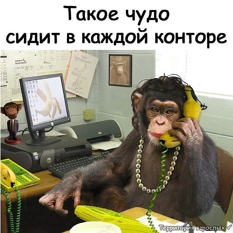 Днем, не нервничай картинки