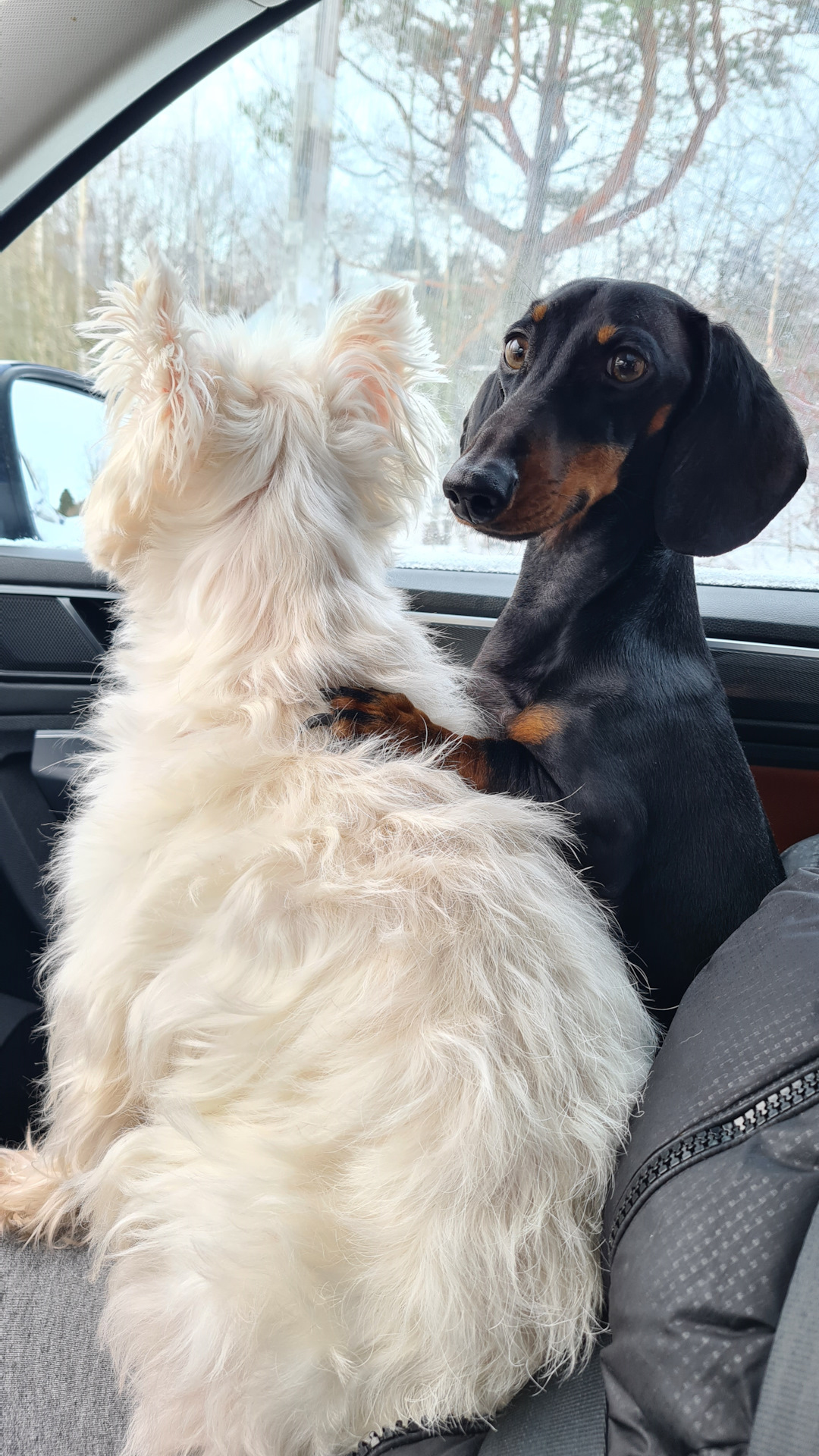 Чем убрать царапины на пластике? — Volkswagen Tiguan (2G), 2 л, 2020 ...