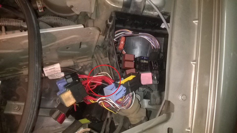 Активация бортового компьютера… — Renault Duster (1G), 1,6 л., 2013 ...