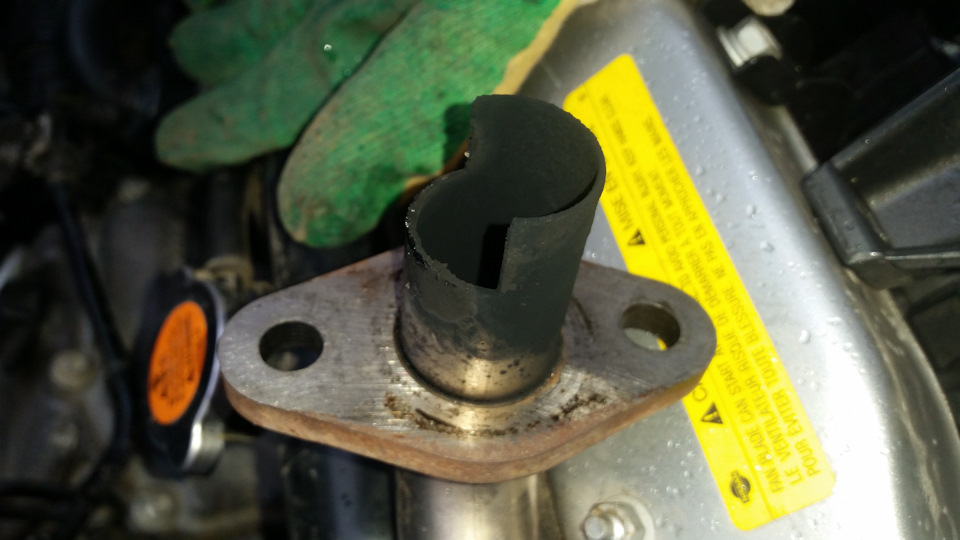 маслоотделитель хундай/киа и возврат ЕГР — Nissan NP300, 2,5 л, 2008 ...