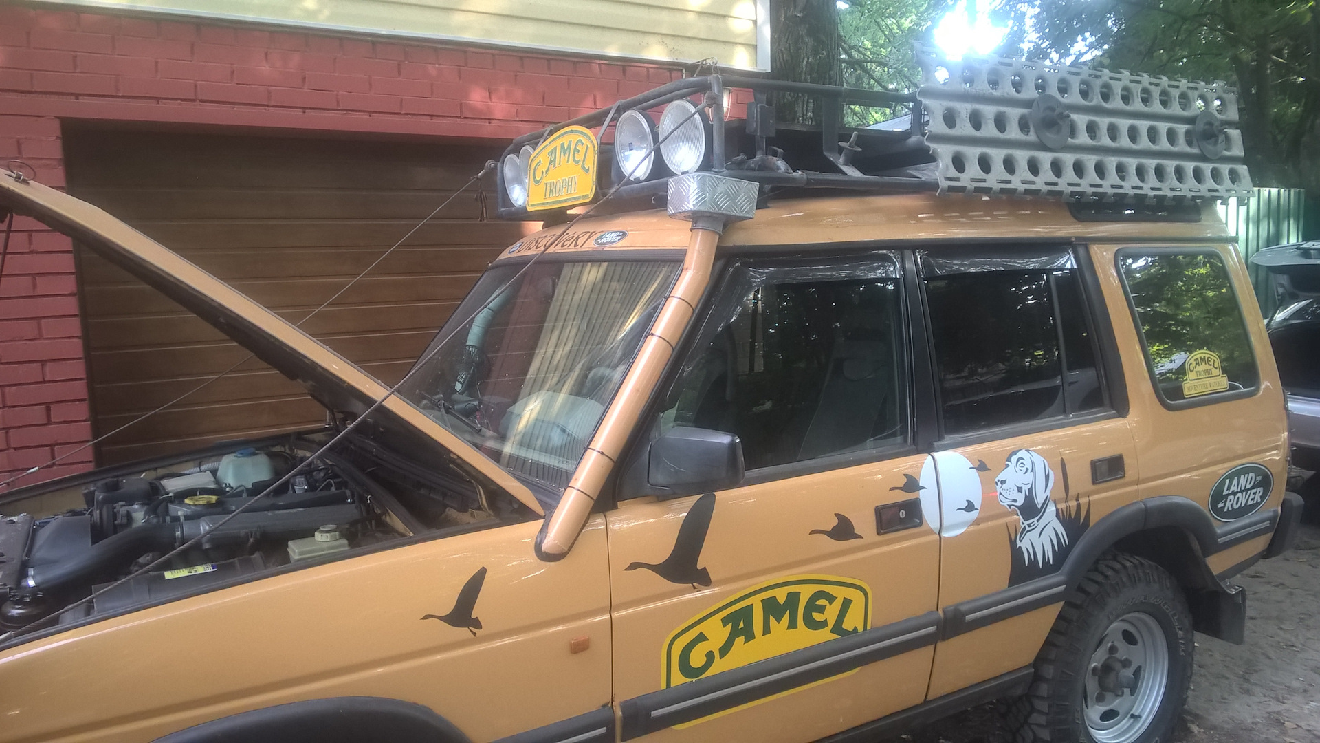 Camel Trophy Re-Union 2019 Russia #RU19 — Land Rover Discovery II, 4,6 л,  2003 года | встреча | DRIVE2