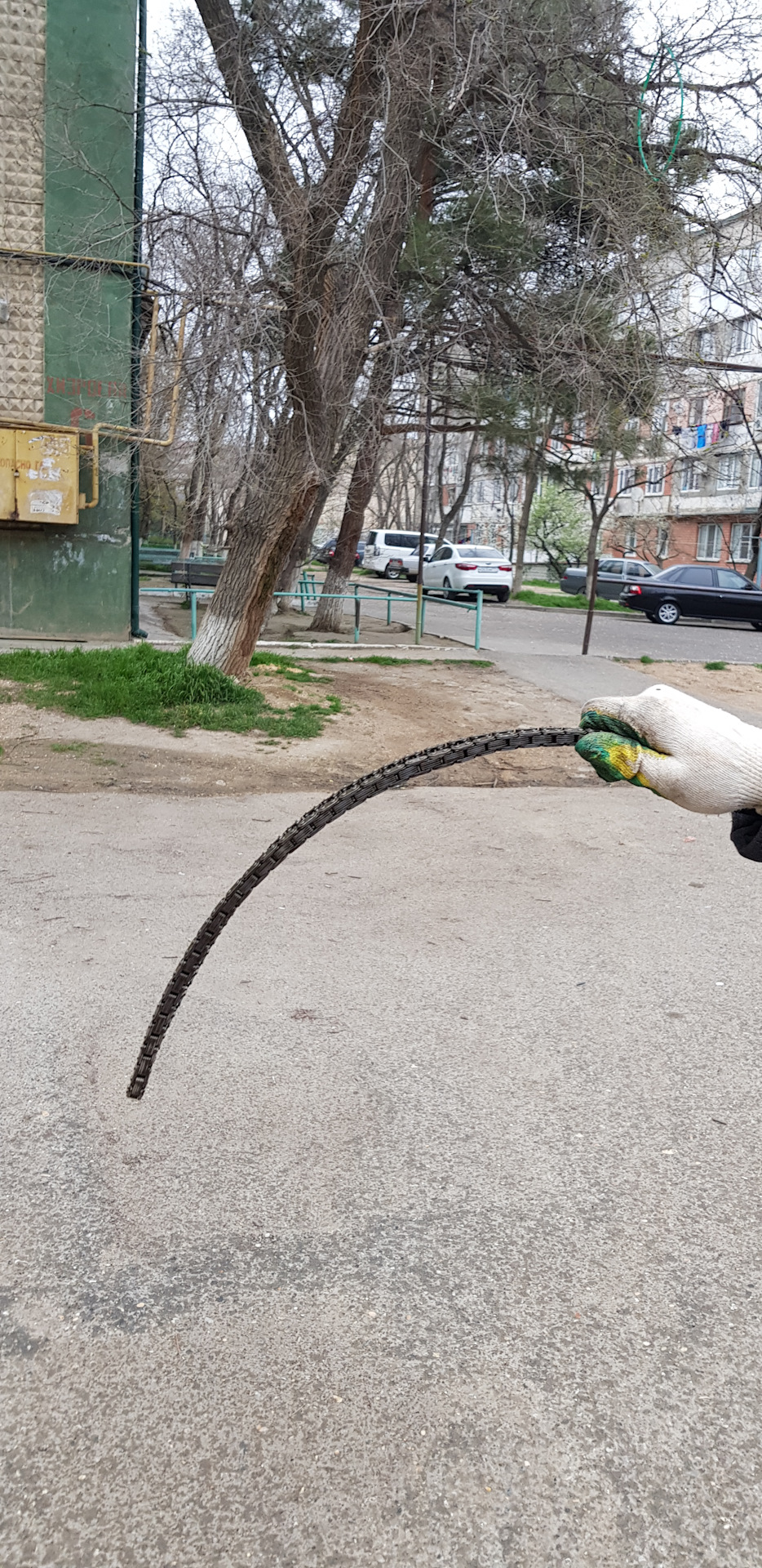 фото " purenudisthost | i6.pixs.ru  