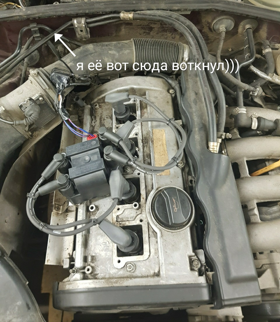 Adr audi