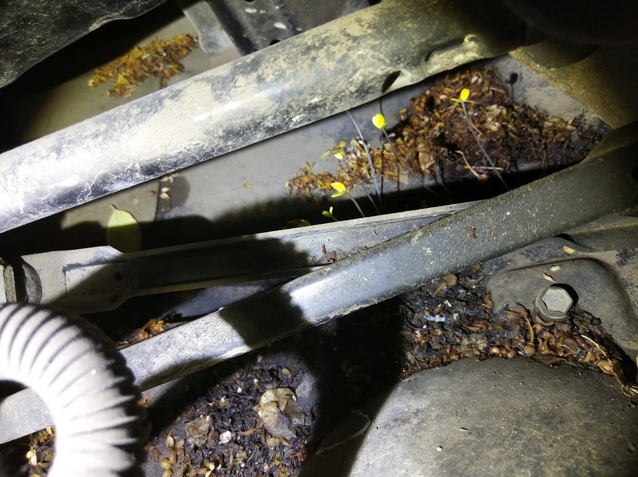 Замена салонного фильтра — Hyundai Tucson (JM), 2 л, 2008 года ...