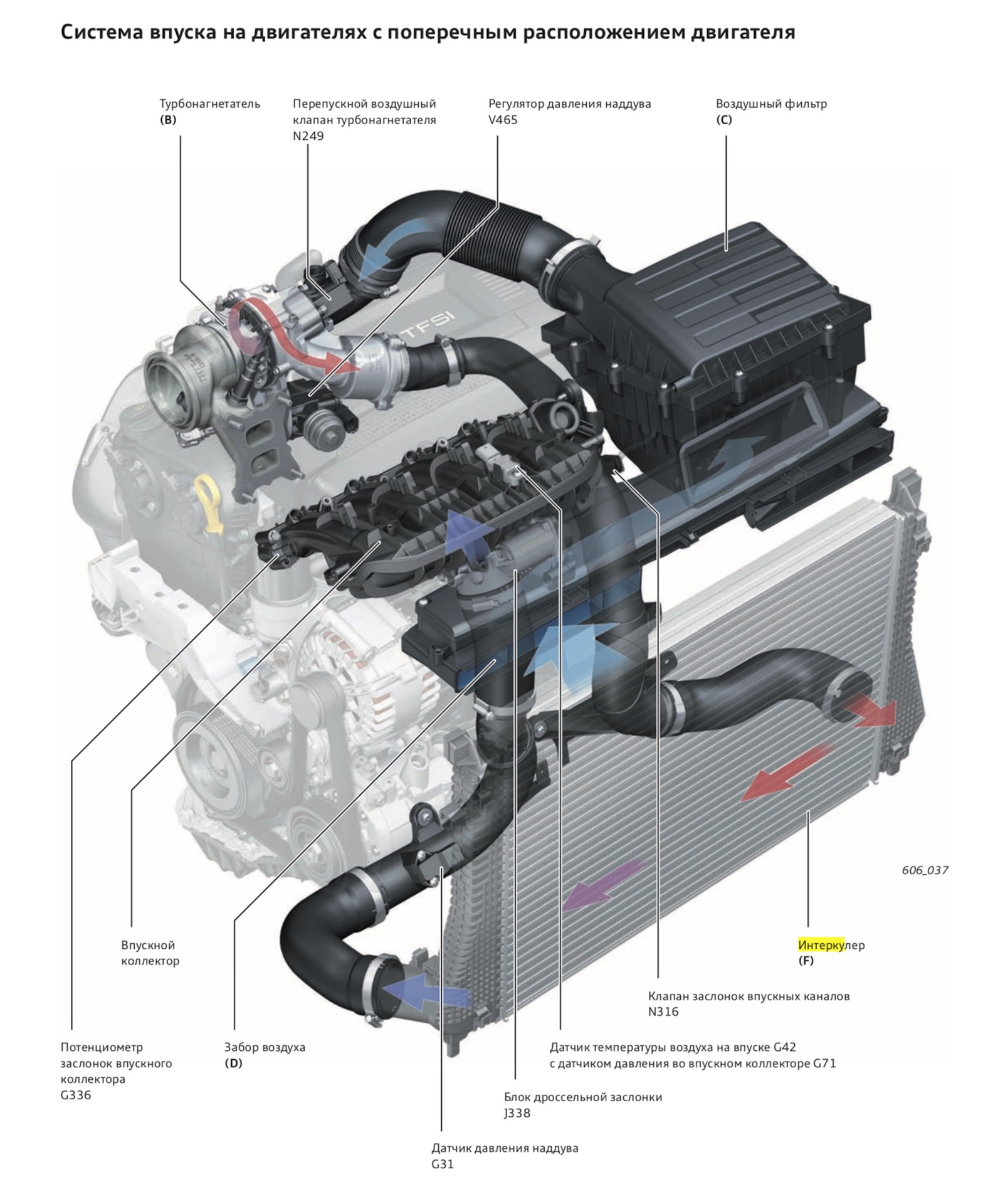 Двигатель всасывает воздух. WV Tiguan 1.4 TSI система охлаждения. Система впуска двигателя TSI 1.8. Система охлаждения Тигуан 1 TSI 2.0. VW 1.2 TSI воздушный интеркулер.