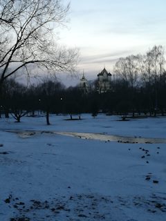 церкви пскова почему внутри нет старых икон