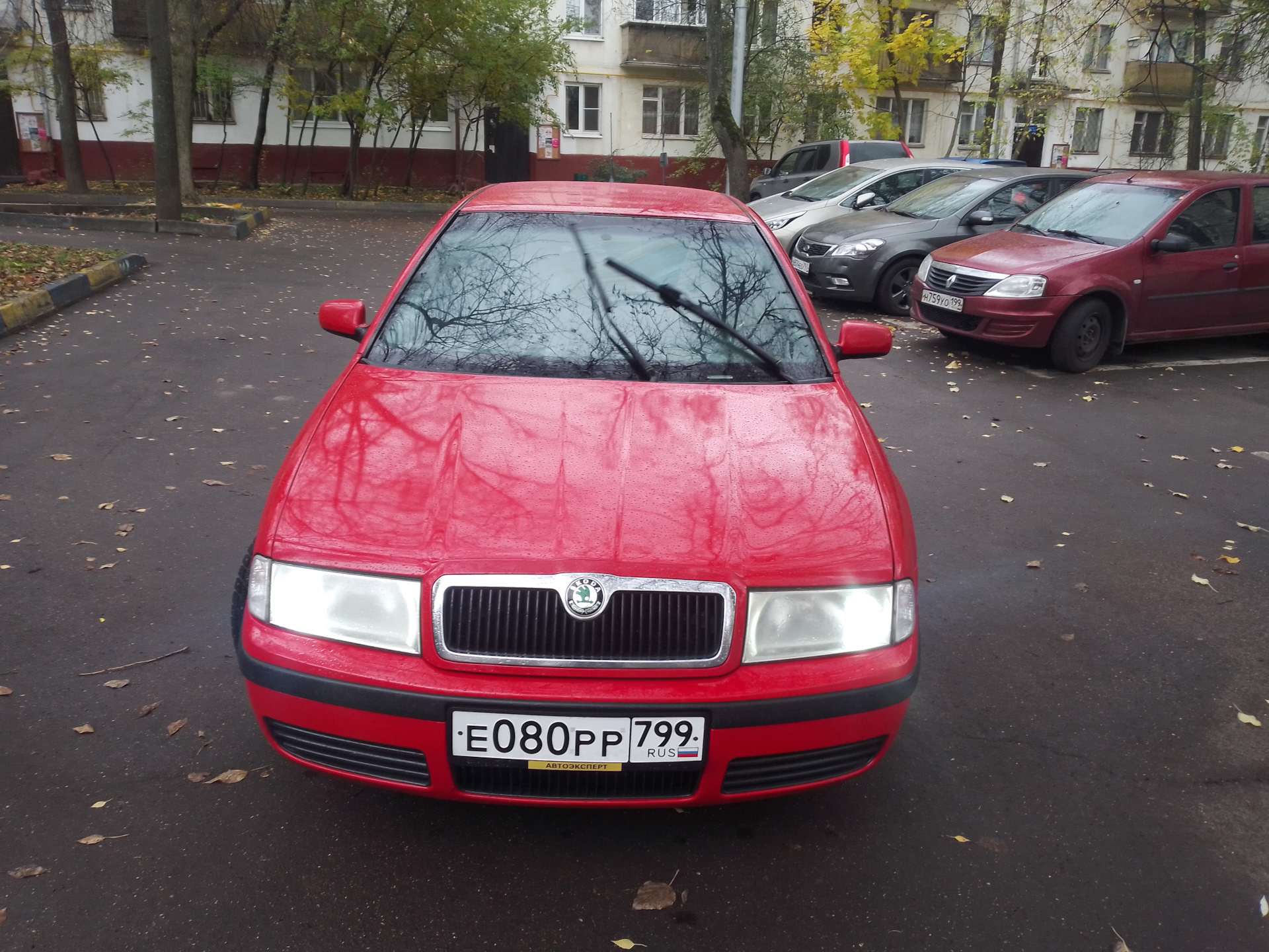 Новая машина — Skoda Superb Mk2, 1,8 л, 2013 года | покупка машины | DRIVE2