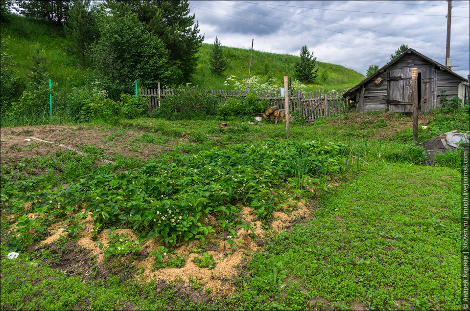 Фото огорода с грядками в деревне