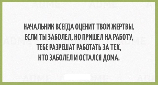 Как я стал «стукачом»: фиксировал и сливал нарушения в ГИБДД. Личный опыт