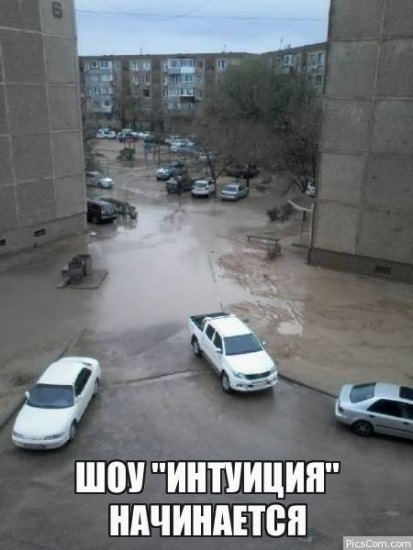 Шоу Интуиция Мем