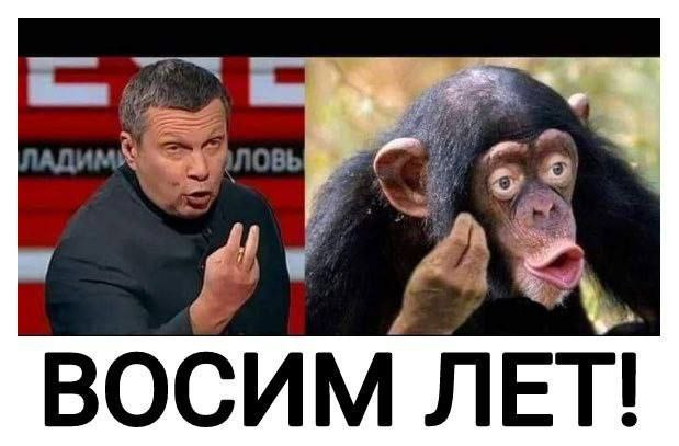 Восемь лет мем обезьяна