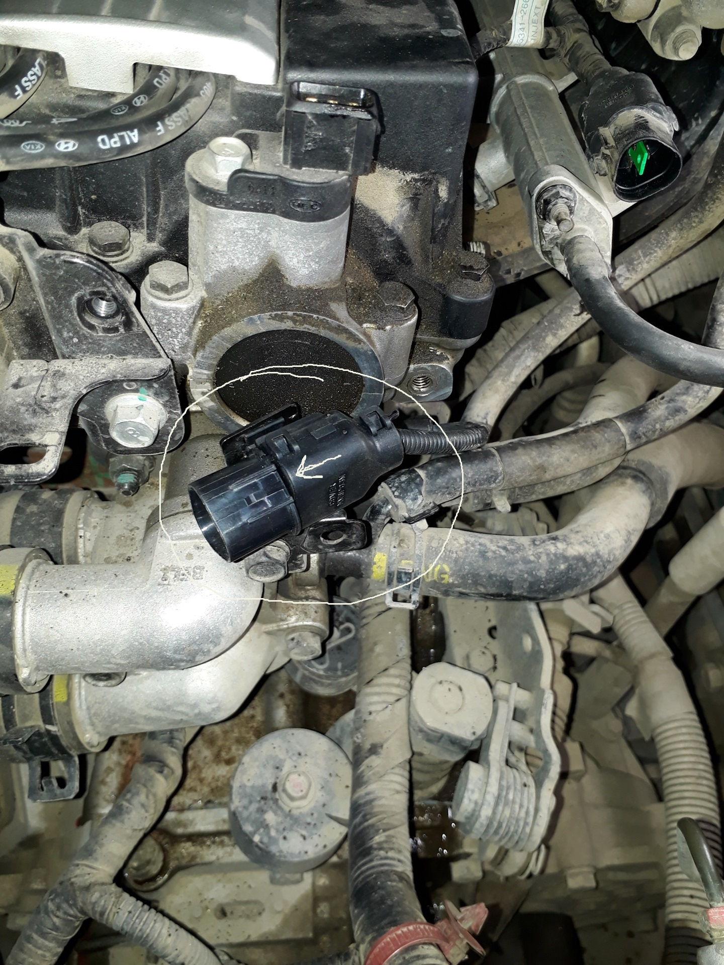 (решено)Не заводится часть 2 — Hyundai Accent (2G), 1,5 л, 2005 года ...