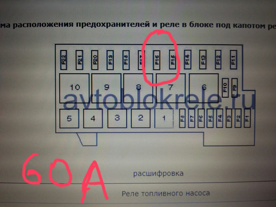 Предохранители под капотом. Расположение предохранителей под капотом. Т5 предохранители под капотом. Предохранители под капотом Фьюжн. Предохранители под капотом f30.