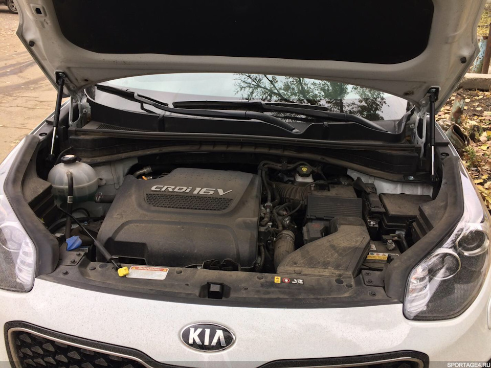 Капот спортейдж 4. Kia Sportage 3 под капотом. Kia Sportage 4 под капотом. Kia Sportage 2015 под капотом. Sportage 2 подкапотное.