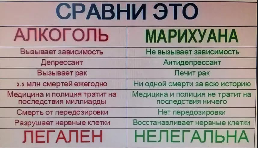 Алкоголь легален марихуана нет мужская конопля 7 букв