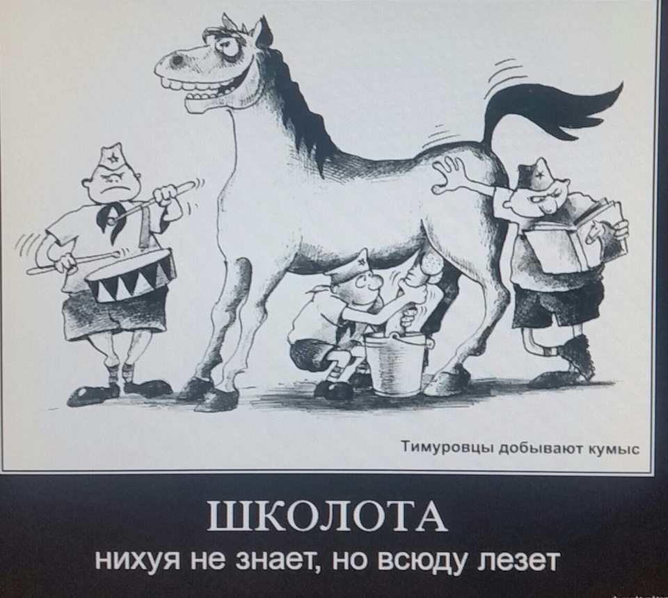 плед сшит тимуровцы добывают кумыс картинка нём проходят