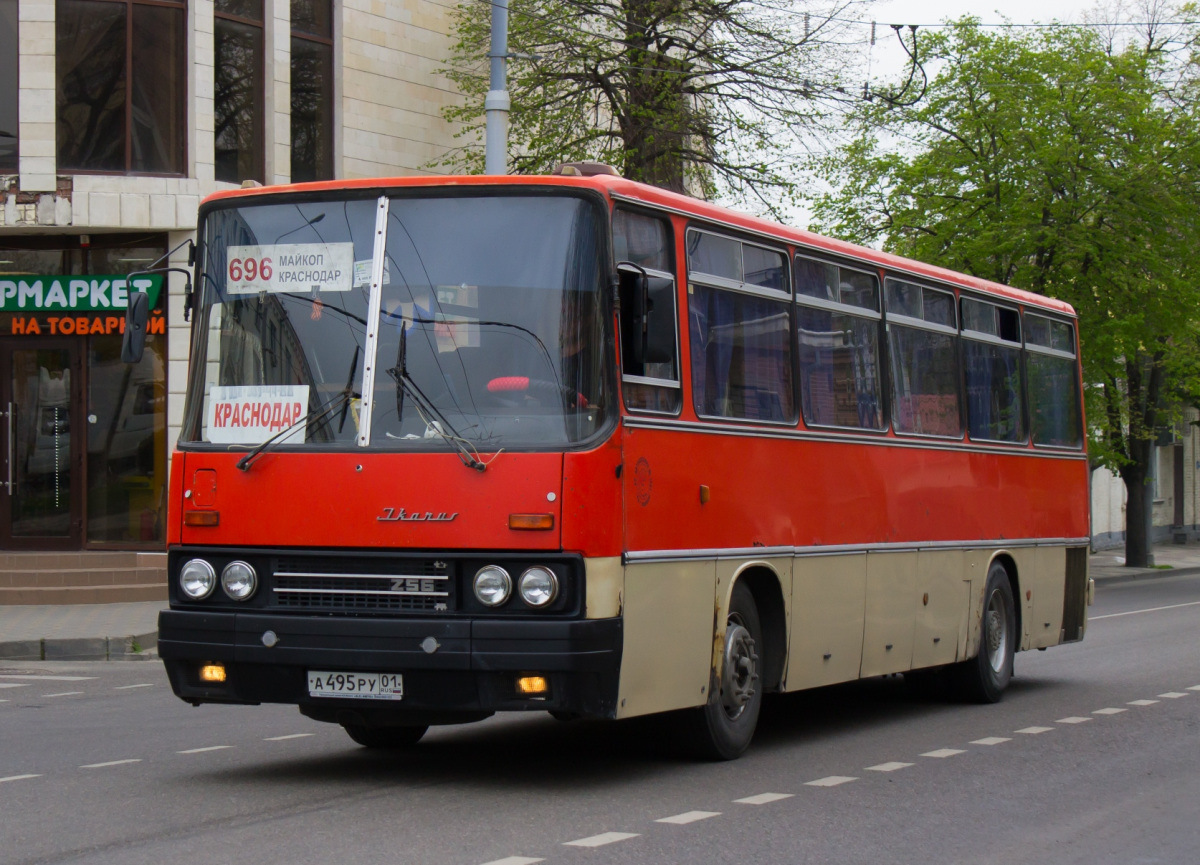 Ikarus-256: Последний дальнобойщик — «Грузовики, автобусы, спецтехника» на  DRIVE2