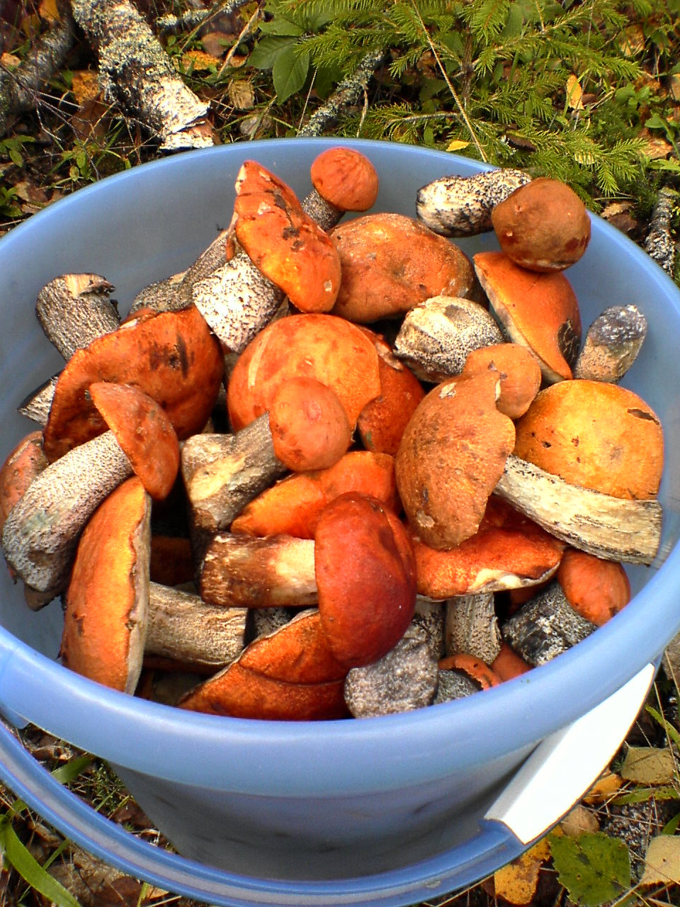 Кто шарит? — DRIVE2