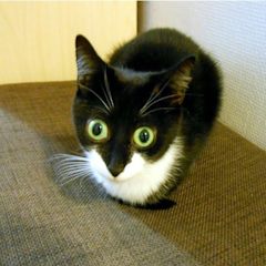 дендро фекальный метод что это. Смотреть фото дендро фекальный метод что это. Смотреть картинку дендро фекальный метод что это. Картинка про дендро фекальный метод что это. Фото дендро фекальный метод что это