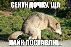 Как сделать динамик в домашних условиях. Смотреть фото Как сделать динамик в домашних условиях. Смотреть картинку Как сделать динамик в домашних условиях. Картинка про Как сделать динамик в домашних условиях. Фото Как сделать динамик в домашних условиях