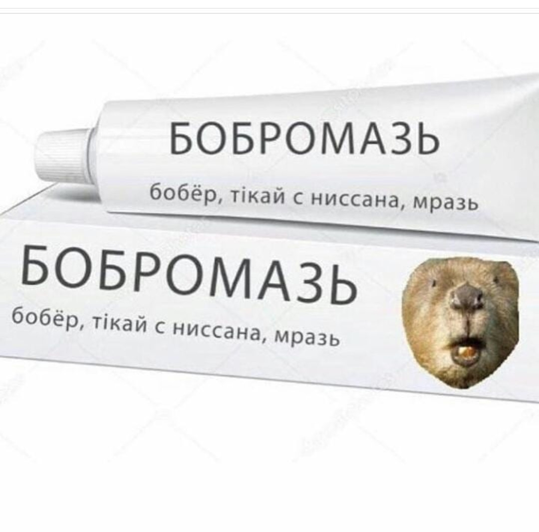 Бобер Мем 