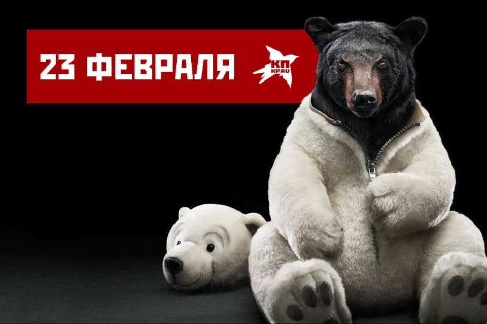 Заказать медведя поздравить. Медведь поздравляет. Медведь поздравляет с днем рождения. Белый медведь поздравляет. Реклама поздравления медведя.