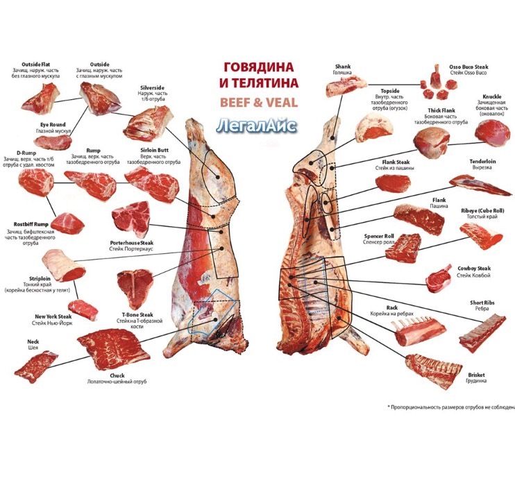 Разруб говядины для торговли схема