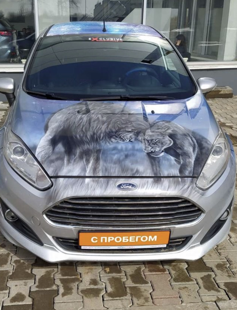 Вот и продолжение аэрографии — Ford Fiesta Sedan, 1,6 л, 2015 года |  стайлинг | DRIVE2