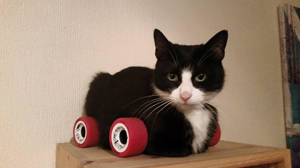 Скачать People Playground "Скибиди туалет" 1.26