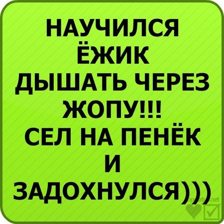 Ежик дышит попой. Научился ёжик дышать анекдот. Анекдот ежик научился дышать попой сел на пенек и задохнулся. Ежик сел на пенек. Ёжик научился дышать попой сел на пенёк.