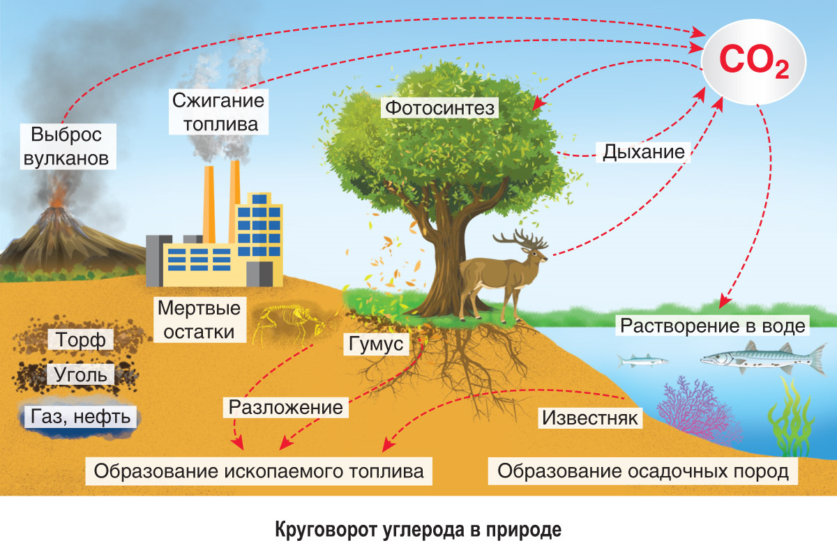 На карте схеме современного экологического состояния следует отображать