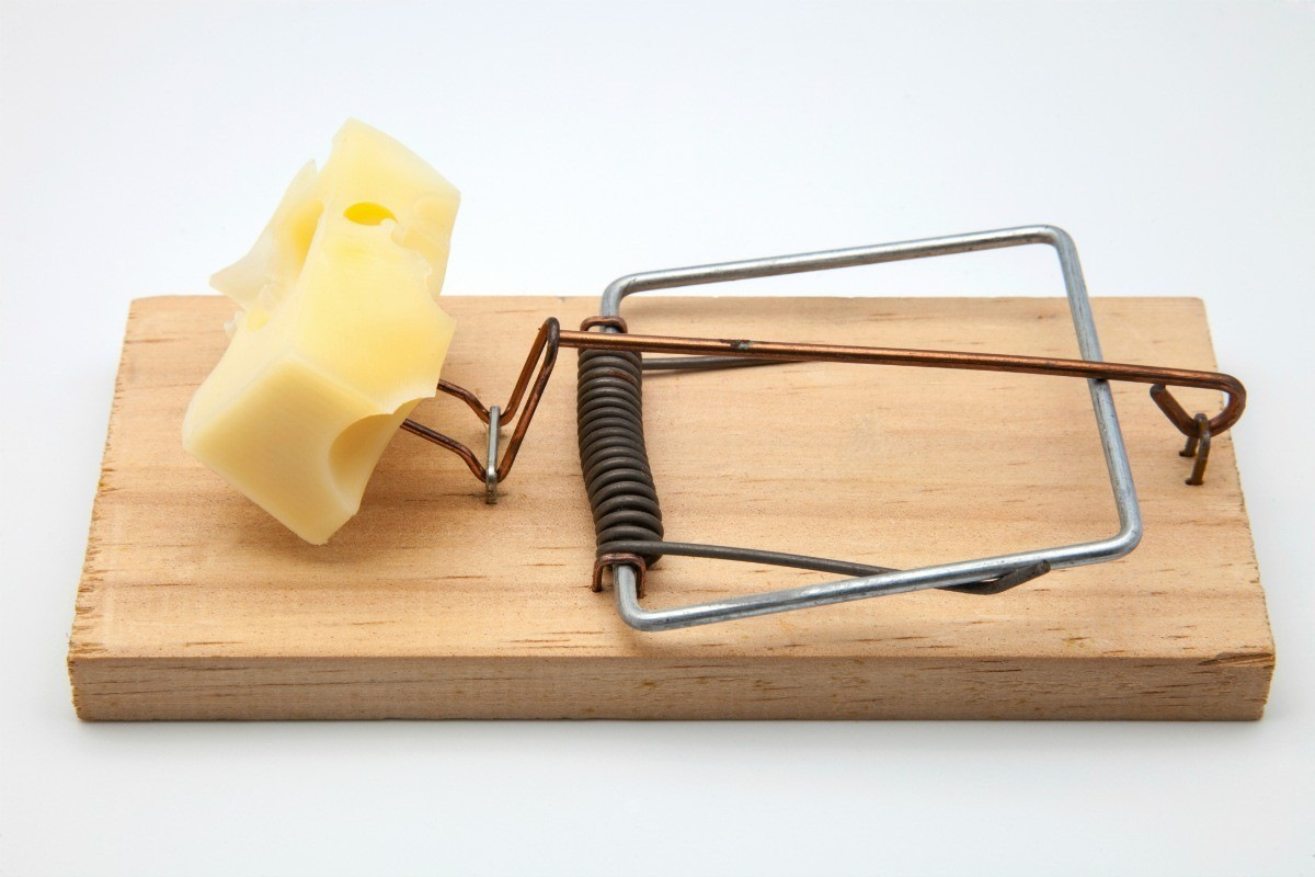 Мышеловка с сыром