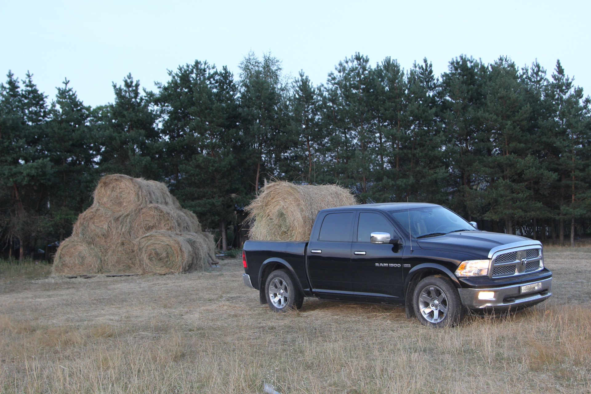 Мой зять украл машину дров. — Dodge Ram, 6,7 л, 2016 года | просто так |  DRIVE2