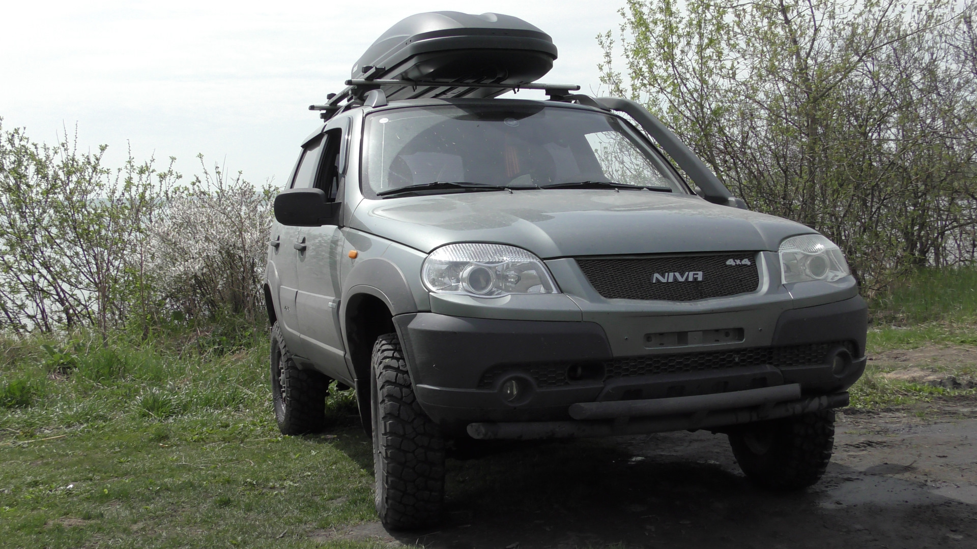 Кукуруза на шевик — Chevrolet Niva GLX, 1,5 л, 2015 года | шины | DRIVE2