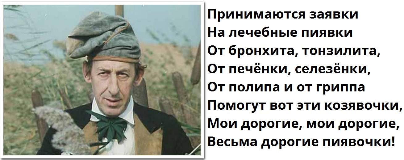 Песня дуремара про пиявок. Золотухин Дуремар. Дуремар и пиявки. Принимаются заявки на лечебные пиявки. Дуремар продавец пиявок.