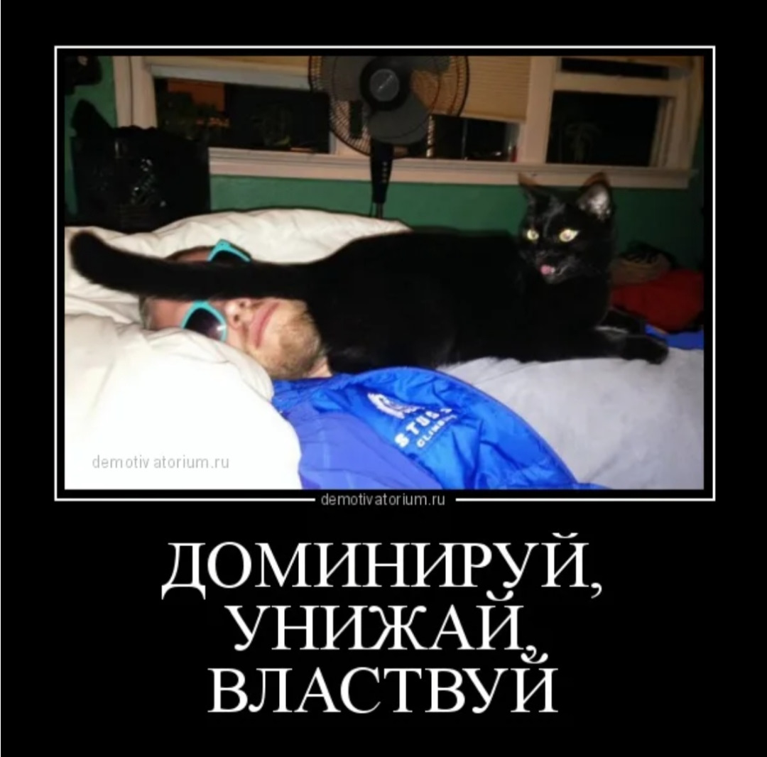 Подчиняясь властвуй. Доминируй властвуй унижай. Доминируй властвуй урожай. Фраза доминируй властвуй унижай. Доминируй властвуй унижай картинки.