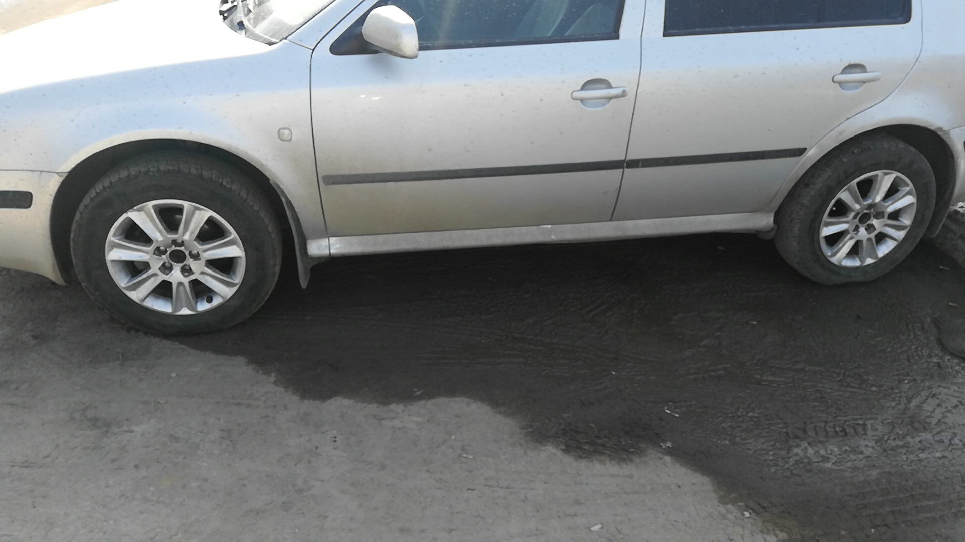 Audi Pepper Pots — Skoda Octavia Mk1, 1,6 л., 2007 года колёсные