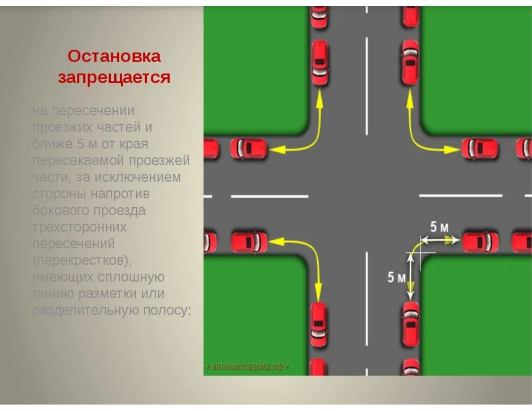 Сколько метров от остановки можно ставить. Сколько метров от остановки можно ставить