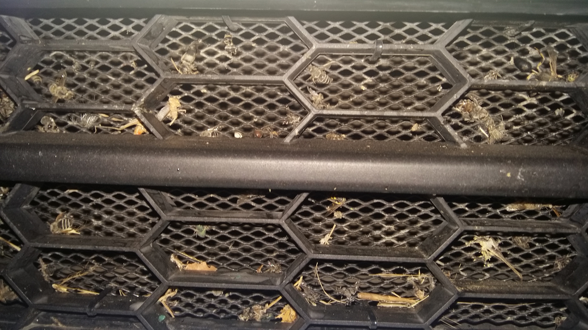 установка сетки в решетку радиатора. — Skoda Octavia Mk3, 1,6 л, 2015 ...