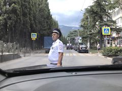 Авто шторки на авто киа соренто